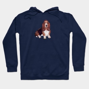 A Bassett Hound - Just the Dog Hoodie